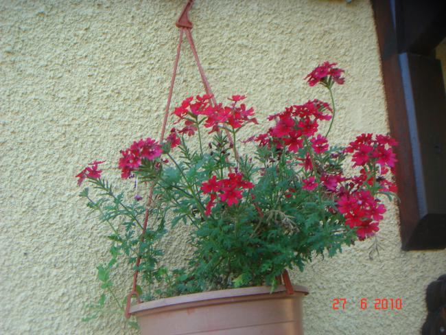 Name:  DSC01522.jpg
Views: 689
Size:  66.3 KB