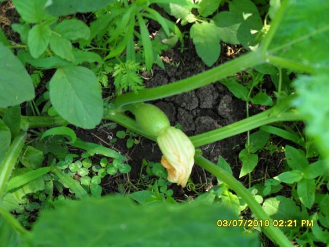 Name:  Resim 1437.jpg
Views: 790
Size:  50.9 KB