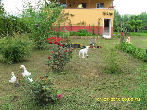 Name:  Resim 1393.jpg
Views: 785
Size:  70.7 KB