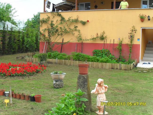Name:  Resim 1387.jpg
Views: 822
Size:  63.3 KB