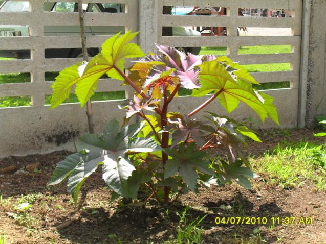 Name:  Resim 1449.jpg
Views: 1250
Size:  70.8 KB