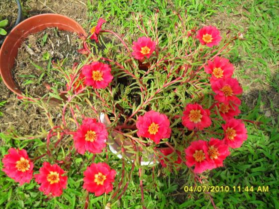 Name:  Resim 1460.jpg
Views: 976
Size:  74.2 KB