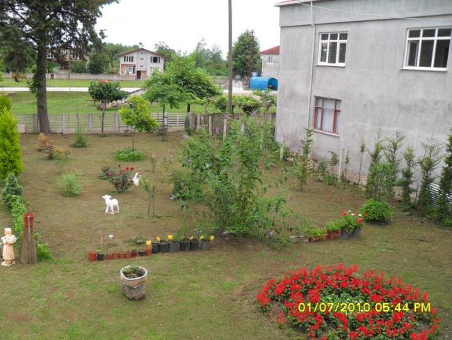 Name:  Resim 1382.jpg
Views: 794
Size:  62.7 KB
