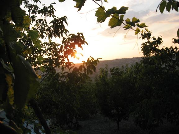 Name:  gnbatm 1.JPG
Views: 1054
Size:  49.7 KB