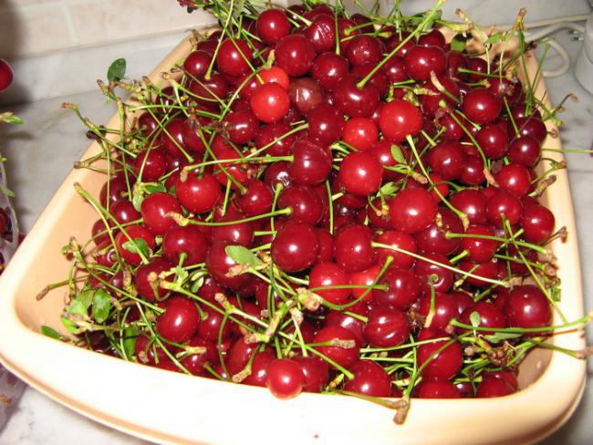 Name:  vine2.jpg
Views: 1790
Size:  69.4 KB