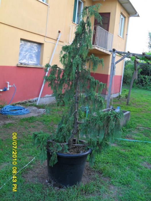 Name:  Resim 1484.jpg
Views: 829
Size:  68.9 KB