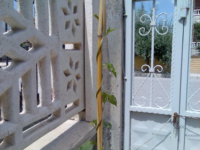 Name:  Grnt450.jpg
Views: 553
Size:  56.6 KB