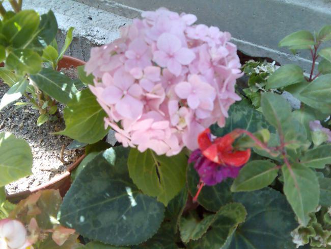 Name:  Grnt455.jpg
Views: 564
Size:  48.1 KB