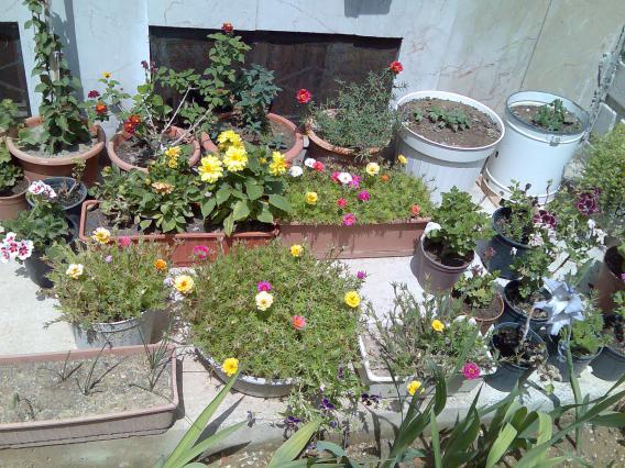 Name:  Grnt461.jpg
Views: 552
Size:  71.2 KB