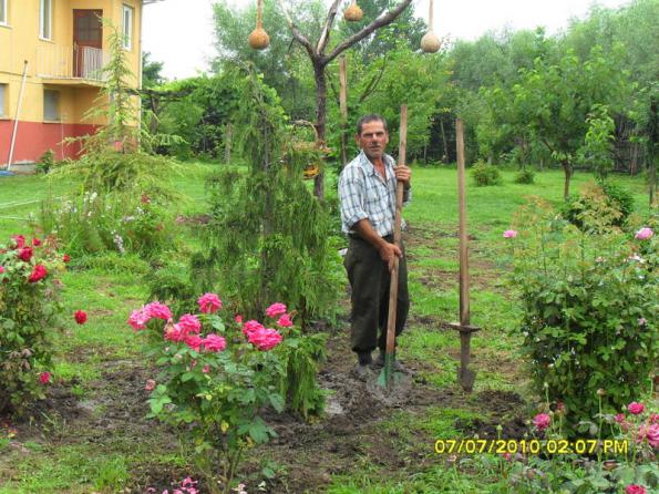 Name:  Resim 1496.jpg
Views: 838
Size:  71.3 KB