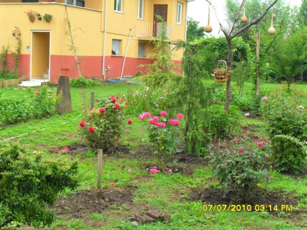Name:  Resim 1501.jpg
Views: 774
Size:  71.0 KB
