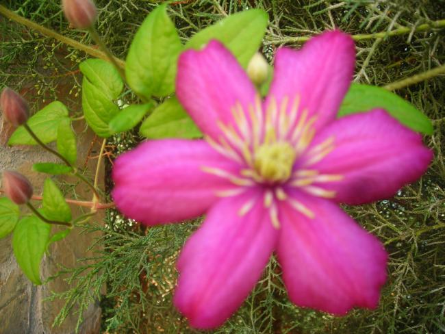Name:  DSCN2369.jpg
Views: 962
Size:  54.0 KB
