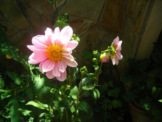 Name:  DSCN2432.jpg
Views: 910
Size:  39.5 KB