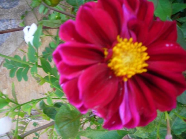 Name:  DSCN2386.jpg
Views: 932
Size:  38.2 KB