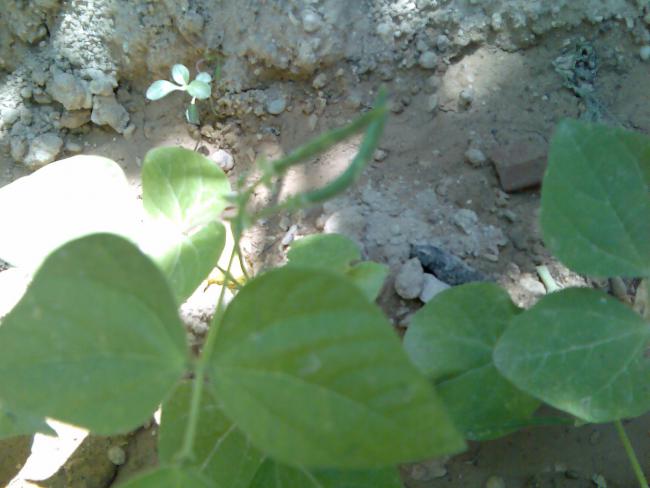 Name:  Grnt490.jpg
Views: 562
Size:  38.2 KB