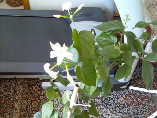 Name:  Grnt496.jpg
Views: 564
Size:  59.2 KB