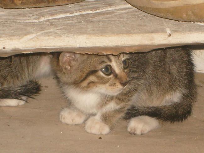Name:  S6308786.jpg
Views: 541
Size:  39.6 KB