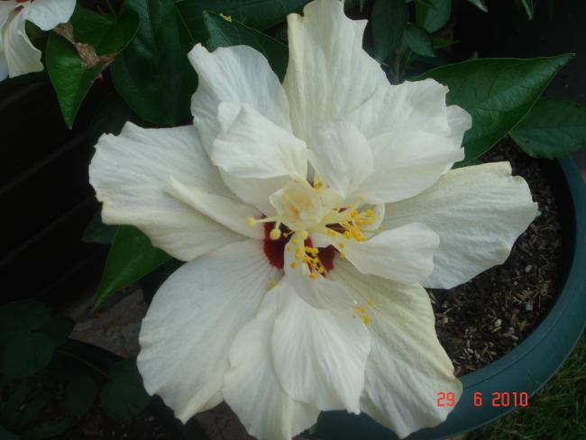 Name:  DSC01568.jpg
Views: 544
Size:  33.1 KB