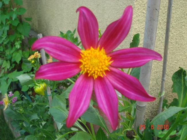 Name:  DSC01566.jpg
Views: 597
Size:  50.4 KB