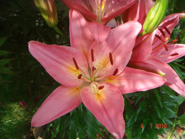 Name:  DSC01761.jpg
Views: 547
Size:  46.1 KB