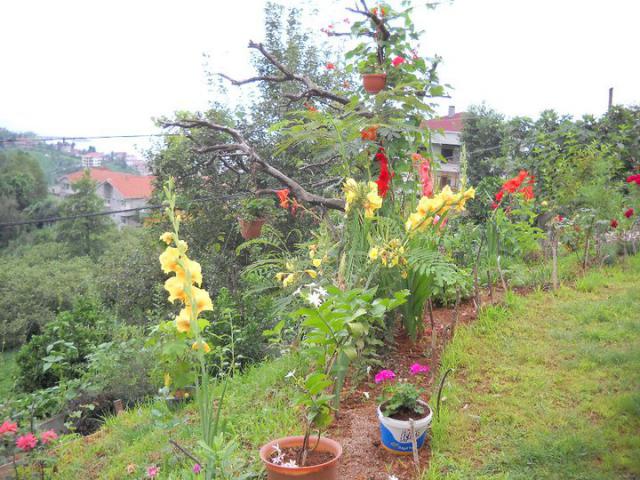 Name:  34679_142405975769437_100000001055215_470657_473924_n.jpg
Views: 770
Size:  69.0 KB