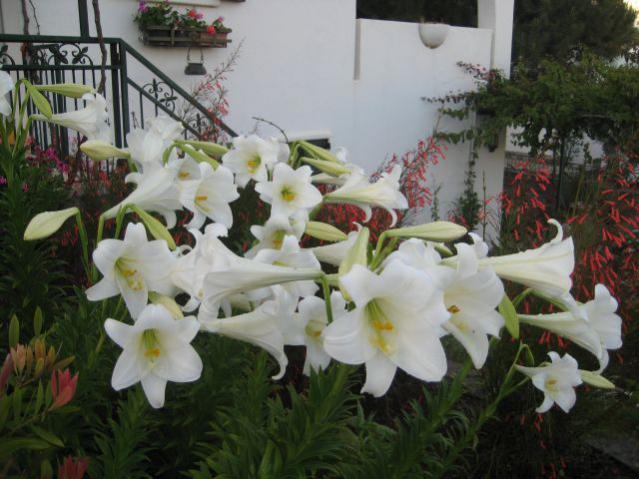 Name:  IMG_2367.jpg
Views: 990
Size:  49.2 KB