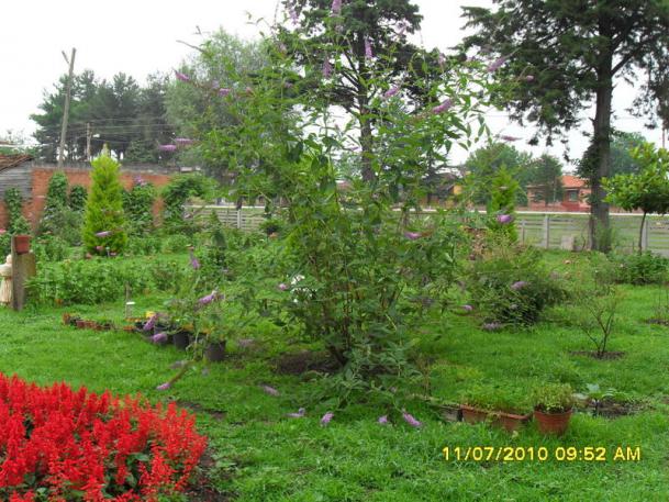 Name:  Resim 1541.jpg
Views: 529
Size:  71.5 KB