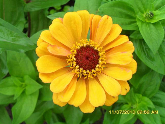 Name:  Resim 1552.jpg
Views: 524
Size:  39.7 KB