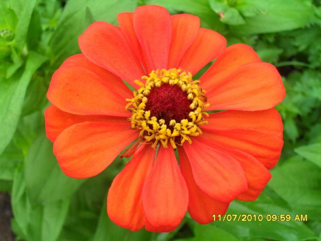 Name:  Resim 1553.jpg
Views: 509
Size:  37.3 KB