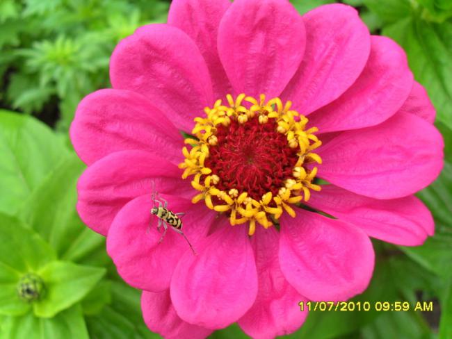 Name:  Resim 1555.jpg
Views: 502
Size:  43.0 KB