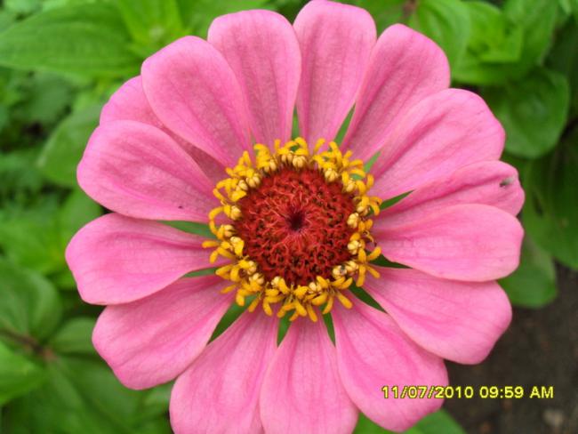 Name:  Resim 1556.jpg
Views: 491
Size:  41.4 KB