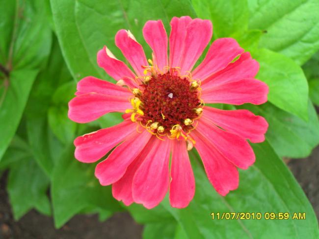 Name:  Resim 1557.jpg
Views: 512
Size:  38.8 KB