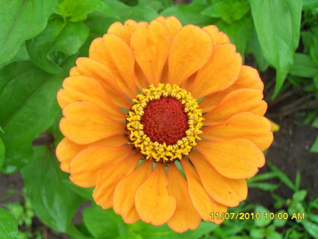 Name:  Resim 1559.jpg
Views: 512
Size:  41.1 KB