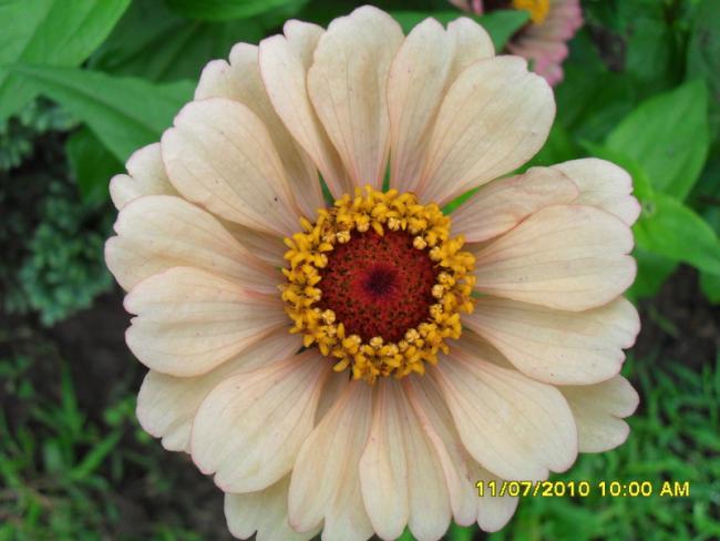Name:  Resim 1560.jpg
Views: 517
Size:  40.3 KB