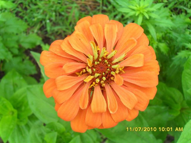 Name:  Resim 1561.jpg
Views: 509
Size:  42.3 KB