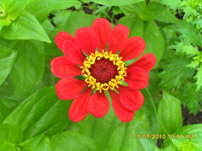 Name:  Resim 1562.jpg
Views: 499
Size:  42.2 KB