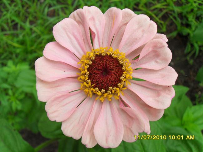 Name:  Resim 1563.jpg
Views: 637
Size:  41.7 KB