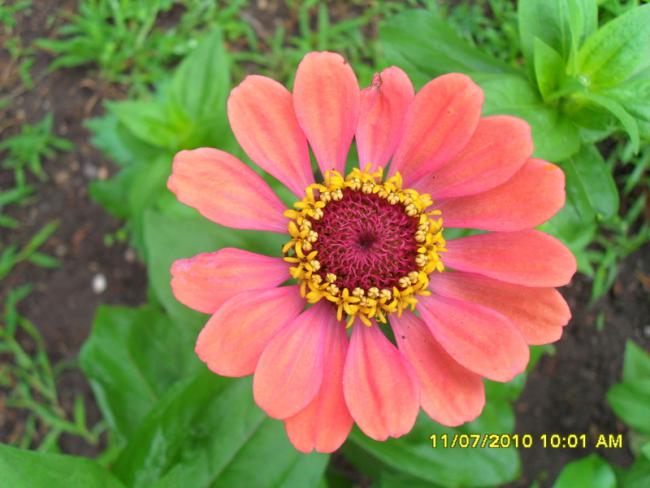Name:  Resim 1564.jpg
Views: 593
Size:  42.7 KB