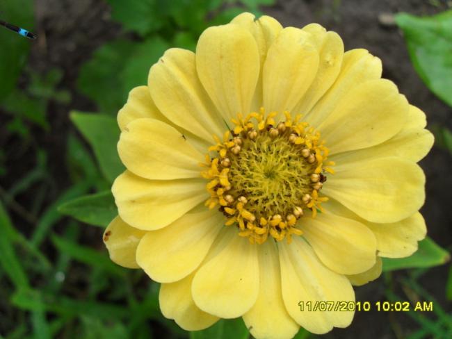 Name:  Resim 1566.jpg
Views: 603
Size:  36.5 KB