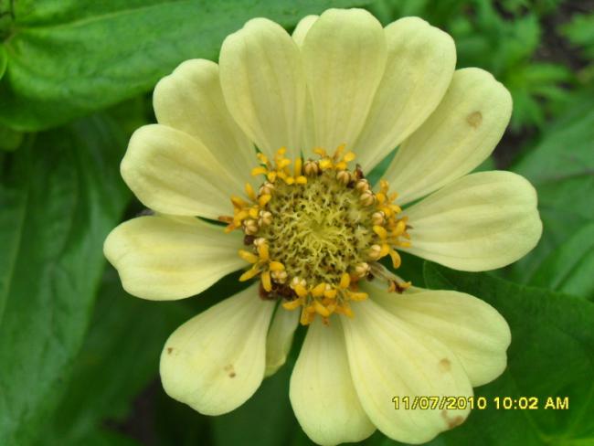 Name:  Resim 1567.jpg
Views: 601
Size:  34.9 KB