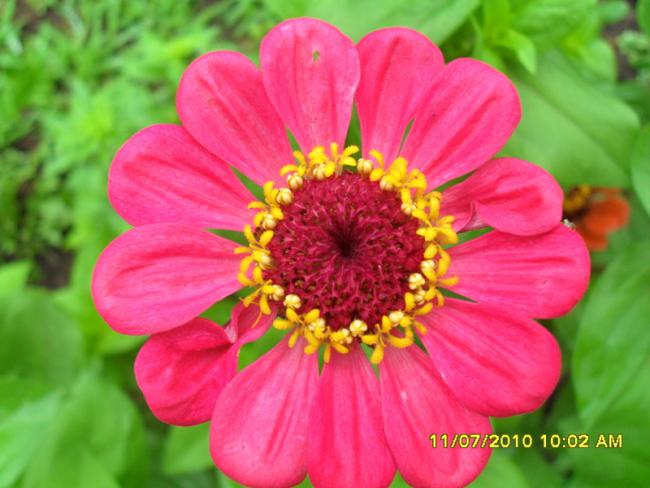 Name:  Resim 1569.jpg
Views: 506
Size:  44.3 KB
