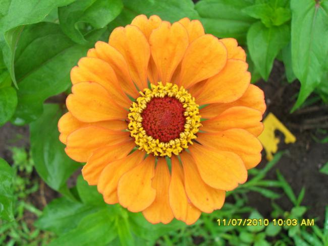 Name:  Resim 1570.jpg
Views: 483
Size:  42.0 KB