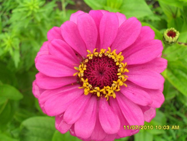Name:  Resim 1571.jpg
Views: 518
Size:  41.2 KB