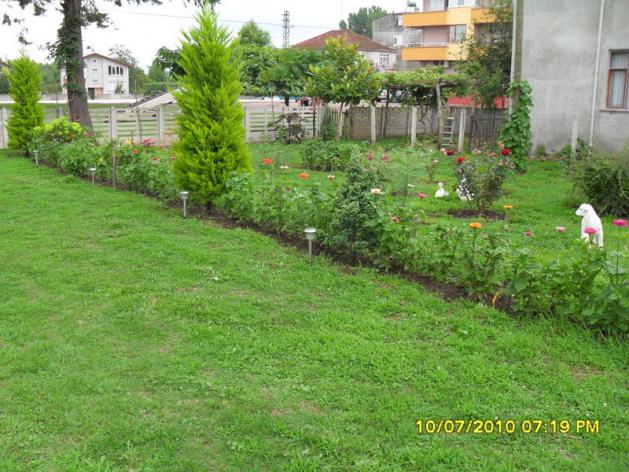 Name:  Resim 1523.jpg
Views: 487
Size:  70.4 KB