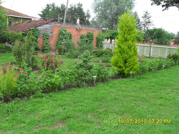 Name:  Resim 1524.jpg
Views: 513
Size:  70.7 KB