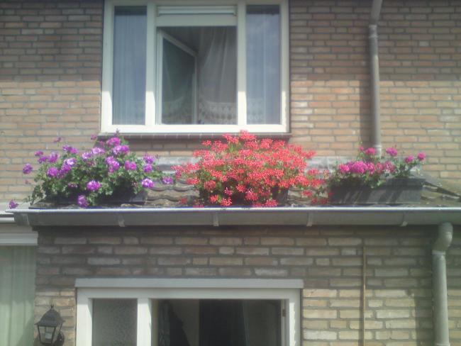 Name:  DSC00388.jpg
Views: 518
Size:  41.5 KB