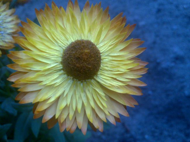 Name:  Foto1009.jpg
Views: 538
Size:  39.1 KB