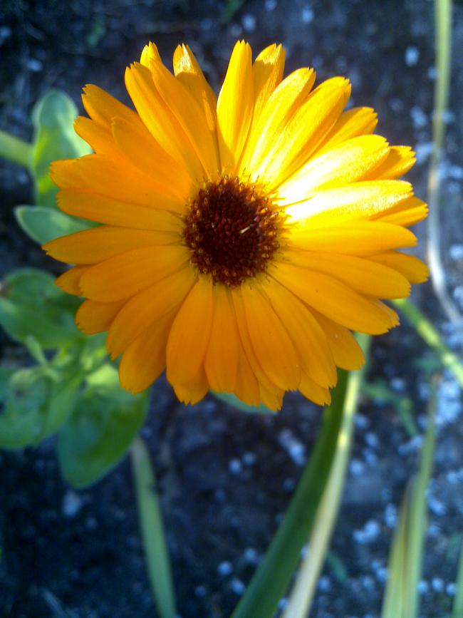Name:  Foto878.jpg
Views: 706
Size:  59.2 KB