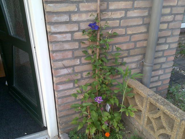 Name:  Foto885.jpg
Views: 677
Size:  57.8 KB