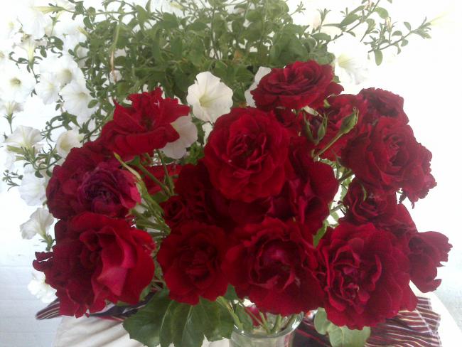 Name:  Foto960.jpg
Views: 679
Size:  49.7 KB